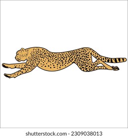 Cheetah running for hunting at high speed 