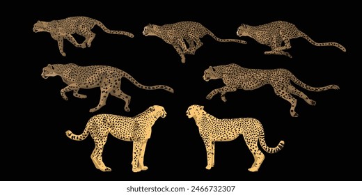 Cheetah running isolated object on dark background. Vector illustration for background design.