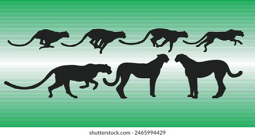 Cheetah running silhouette vector, cheetah silhouette in black and green stripes at the background.