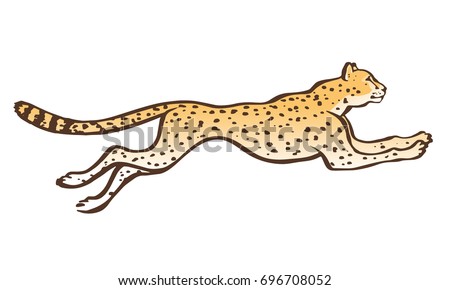 Cheetah running sketch vector