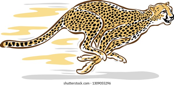 Cheetah running and talking for advertising