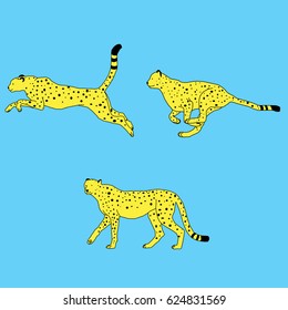 Cheetah runs and jumps. Isolated
