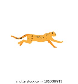 Cheetah runs on a white background. Cheetah vector logo. The animal runs fast