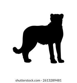 Cheetah silhouette icon vector flat design on white background.
