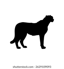 Cheetah silhouette icon vector flat design on white background.