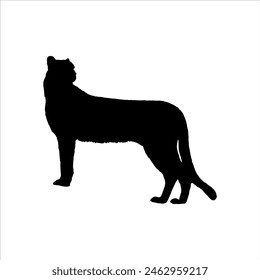 Cheetah silhouette isolated on white background. Cheetah icon vector illustration design.