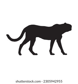 cheetah silhouette vector black color on white background