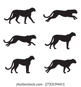 Cheetah silhouettes big collection designs