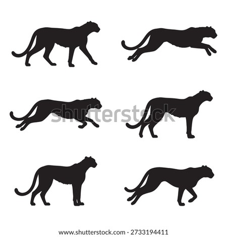 Cheetah silhouettes big collection designs