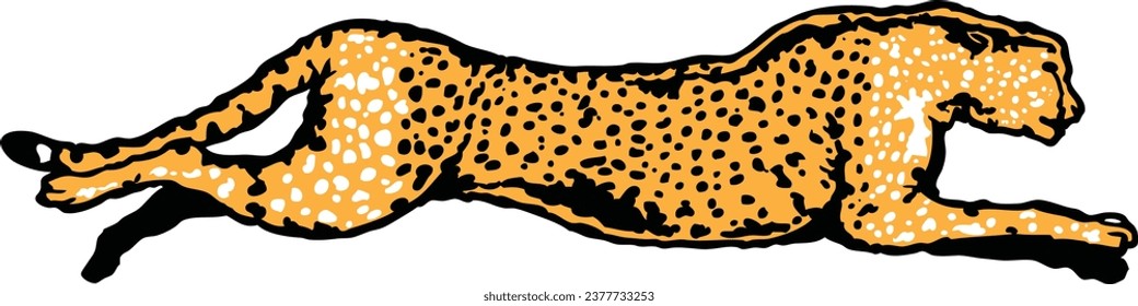 Cheetah sketch vector illustration isolated in a white background