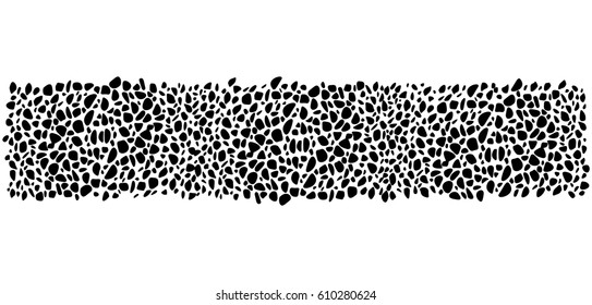 Cheetah skin background