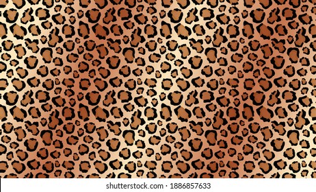 Cheetah Skin Tracery With Light Lines Background. Yellow Panther Spots With Black Jaguar Outlines In White Leopard Vector Color Scheme.