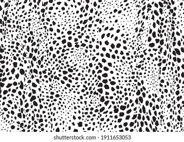 Cheetah spots pattern design. Vector illustration background. Wildlife fur skin design illustration.