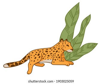 Chita o leopardo visto descansando bajo un amplio follaje. Mamífero aislado con cola larga. Criatura carnívora en zoológico o vida salvaje. Gato salvaje jaguar en sabana. Animal felino felino, vector en estilo plano