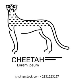 Cheetah standing with a graceful stance, Logo, Icon on white background. Vector design illustration.
