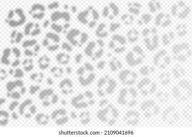 La sombra de textura chita se ve sobre fondo transparente. Reflejo de piel de leopardo en la pared. Ilustración vectorial realista. EPS 10.