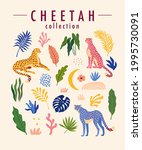 Cheetah trendy design elements collection. Vector illustration of cheetah, tropical leaves, and other elements of nature  in Matisse style