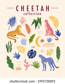 Colección de elementos de diseño chita y moderna. Ilustración vectorial de chita, hojas tropicales y otros elementos de la naturaleza al estilo Matisse