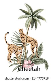 Cheetah, tropical palm tree, hibiscus and palm leaves illustration. Jungle composition.