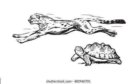 Cheetah and turtle. Fast and slow concept. Sketch style hand drawn vector illustration isolated on white background.