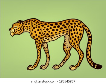 cheetah vector illustration
