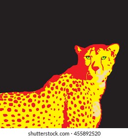 Cheetah - vector illustration