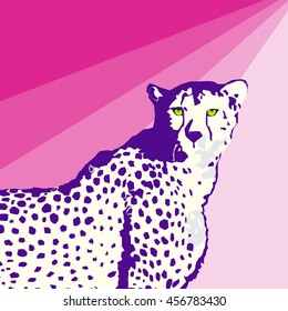 Cheetah - vector illustration