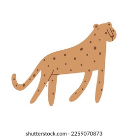 Cheetah. Vector illustration of cute safari animal.