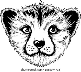 Cheetah. Vector illustration. Ink work.