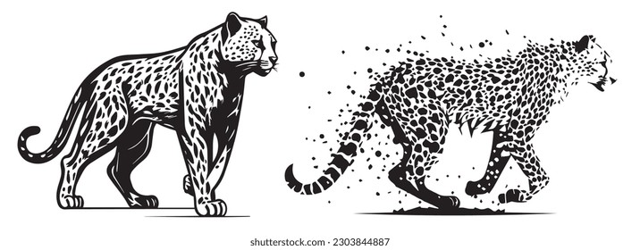 Cheetah vector illustration silhouette shape.