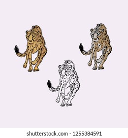 Cheetah vector set. Vector hand drawn illustrations isolated on background. Cheetahs running and hunting