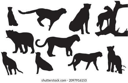 cheetah vector silhouette illustration design, logo template. collection 