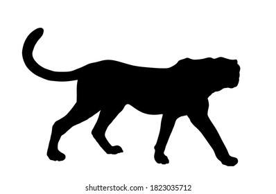 Cheetah vector silhouette illustration isolated on white background. Big cat, fastest animal on planet. African safari animal. Elegant gepard. Shape cheetah shadow.