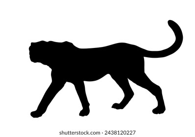 Cheetah vector silhouette illustration isolated on white background. Big cat, fastest animal on planet. African safari animal. Elegant gepard. Shape cheetah shadow.