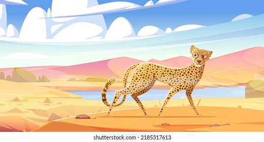 Cheetah spazieren in der Savanne. Afrikanische Wildkatze mit geflecktem Fell. Vektorkartoon-Illustration der Savannenlandschaft, Safari-Parkszene mit gepard spazieren und sich umschauen