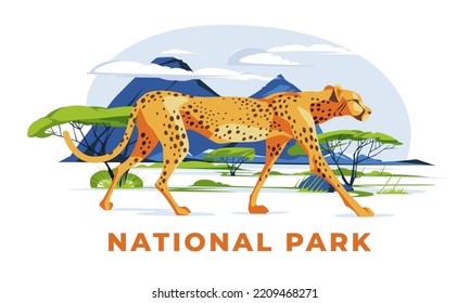 A cheetah walks alone on the savannah landscape. big cat Wild African animals in nature. Vector flat illustration