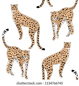 Cheetah wild animal seamless pattern. Exotic wallpaper.