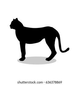 Cheetah wildcat black silhouette animal