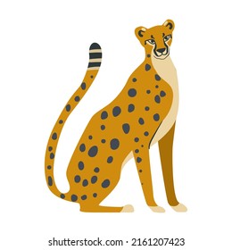 Cheetahs cartoon illustration. Leopards or jaguars on white background