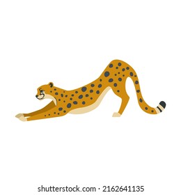 Cheetahs cartoon illustration. Leopards or jaguars with tropical leaves and plants isolated on white