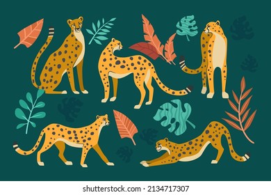 Cheetahs in different poses cartoon illustration set. Seamless pattern with leopards or jaguars with tropical leaves and plants isolated on dark green background. Wild animal, cat, jungle concept
