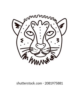 cheetahs face sketch vector illustration