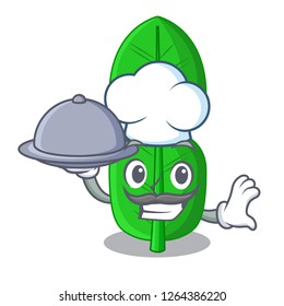 Chef with food bergamot leaf in a character funny