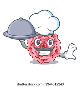 Chef with food carnations flower isolated with the cartoon