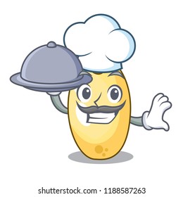 Chef with food cedar pine nuts on a cartoon