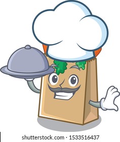 Chef with food grocery bag isolated with the character