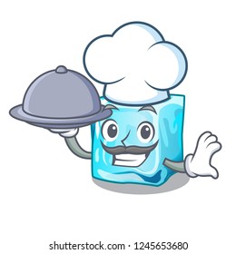 Chef with food Ice cubes set on wiht character