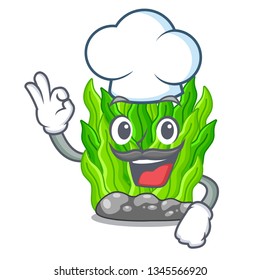 Chef green seaweed isolated with the character