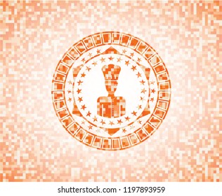 chef icon inside orange mosaic emblem
