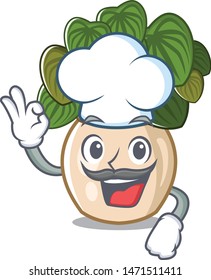 Chef peperomia isolated within in the character
